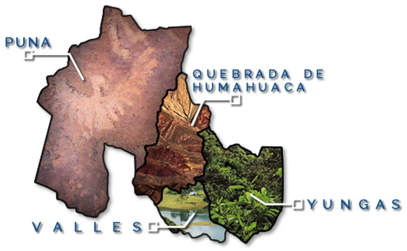 las 4 regiones de Jujuy Qanchis Qoyllur energía solar