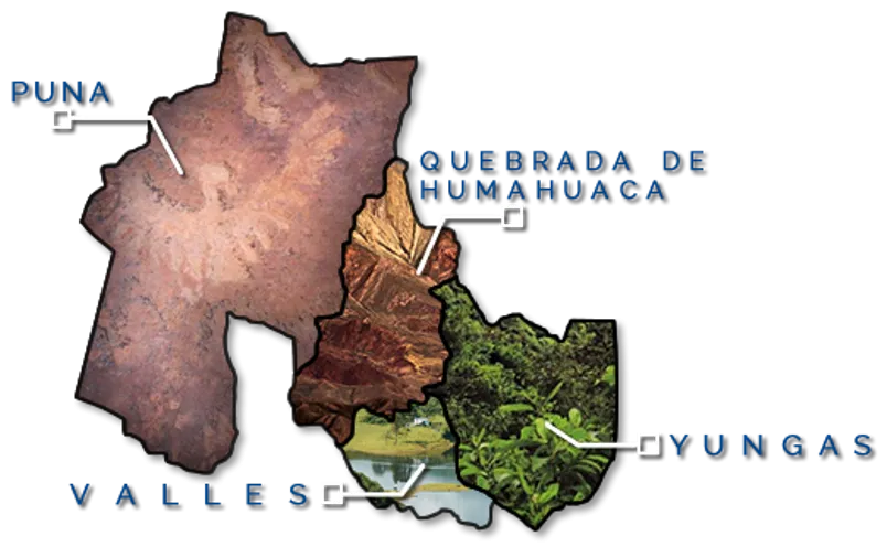 las 4 regiones de Jujuy Qanchis Qoyllur energía solar